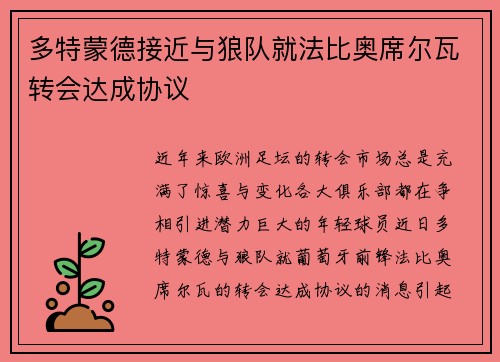多特蒙德接近与狼队就法比奥席尔瓦转会达成协议