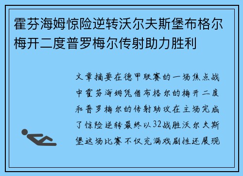 霍芬海姆惊险逆转沃尔夫斯堡布格尔梅开二度普罗梅尔传射助力胜利